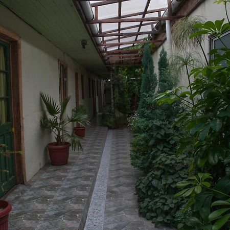 Hostel 1760 Talca  Zewnętrze zdjęcie